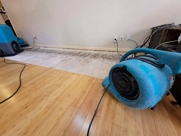 Professional Emergency Water Damage technician working in South Boston, MA